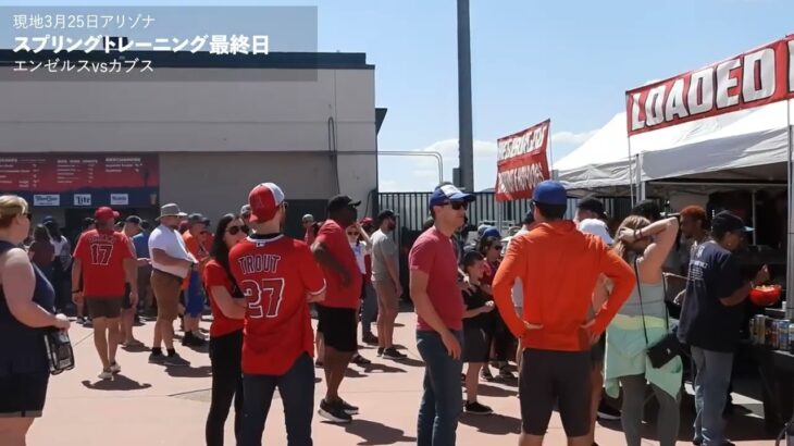 【最終日】スプリングトレーニング最終日も大盛況（エンゼルスvsカブス）現地3月25日【現地映像】