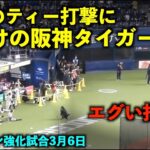 【侍ジャパン強化試合】打球音がヤバい..大谷のティー打撃に釘付けの阪神の選手達！【現地映像】wbc2023 3月6日大阪京セラドーム（vs阪神戦）