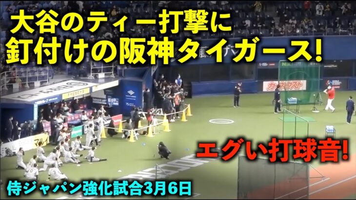 【侍ジャパン強化試合】打球音がヤバい..大谷のティー打撃に釘付けの阪神の選手達！【現地映像】wbc2023 3月6日大阪京セラドーム（vs阪神戦）