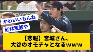 【かわいい】大谷翔平、新しいオモチャを見つけるwww