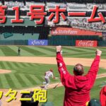 ㊗️第1号ホームラン【大谷翔平選手】初球を狙い撃ちでトラウト兄貴とアベックホームラン