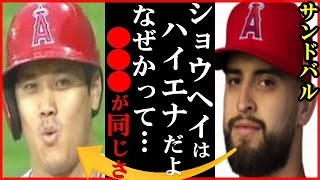 大谷翔平にパトリック・サンドバルが”動物に例えた回答”に世界が衝撃…テイラー・ウォードやレンヒーフォやフレッチャーの回答も。今季１号特大136m弾も