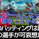 【大谷翔平】2試合連続ホームラン！新打撃コーチが思わず漏らした大谷の異常さがヤバすぎる｜山川穂高が目の辺りにして言い放った衝撃コメントにも納得