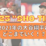 【大谷翔平 2023開幕！！】2023年の”SHO-TMIME”を能見と野村が予測！！