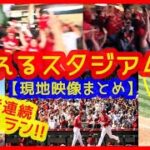 【⚾大谷翔平３者連続５号決勝ホームラン！】大歓声でスタジアム揺れるｗ現地映像まとめ トラ兄が兜ダッシュ最高ｗ（2023年4月24日 エンゼルス 4-3 ロイヤルズ）