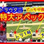 【⚾大谷翔平１号弾が特大過ぎて相手守備一歩も動かずｗ】トラウタニ特大アベック弾でスタジアム揺れるｗ現地映像まとめ トラウトと大谷どっちが飛んだ？（2023年4月3日 エンゼルス6-0アスレチックス）