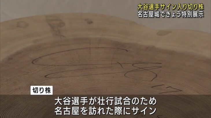 大谷翔平選手のサイン入りの松の切り株　名古屋城で特別展示　大谷選手の故郷・岩手県で伐採 (23/04/02 12:01)