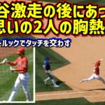 胸熱‼️大谷とトラウト同じ思いの2人が交わした大谷激走後のノールックタッチが泣ける【現地映像】4/23vsロイヤルズ ShoheiOhtani Angels