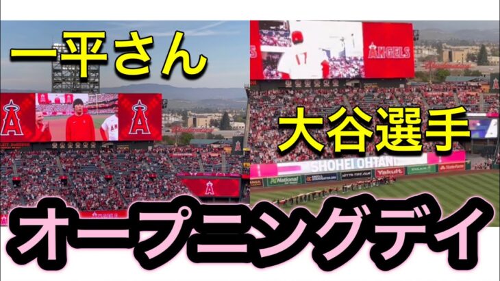 一平さんと大谷選手に大歓声‼︎オープニングデイ！ 【3番DH・大谷翔平選手】対トロント・ブルージェイズ第1戦@エンジェル・スタジアム 4/7/2023 #大谷翔平 #ohtani #エンジェルス