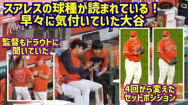 球種が読まれている‼️早々に気付いていた大谷ザワつくダグアウト【現地映像】4/24vsアスレチックスShoheiOhtani Angels