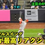 ワオ！見たかよ今の！大谷翔平 4号弾後の打席でフルスイングに観客が驚く！【現地映像】エンゼルスvsヤンキース第1戦4/19