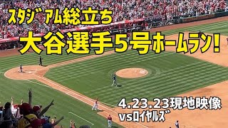 ウッター！大谷選手 5号ホームラン！ Angels Shohei Ohtani homer エンゼルス 大谷翔平 本塁打