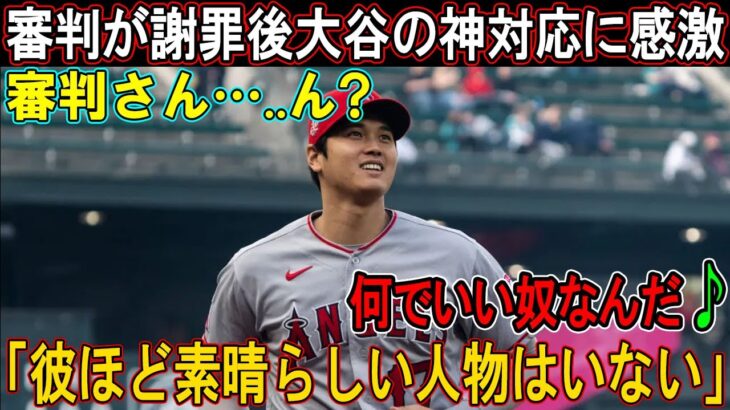 【感激】不正投球を疑った球審が謝罪直後、大谷翔平のある振る舞いに感激「彼ほどの人格者は見たことがない。【エンゼルス 野球 MLB 海外の反応】