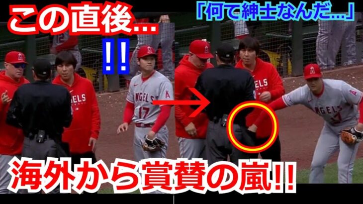 【大絶賛】エンゼルス大谷翔平が球審との真剣な話し合い中にみせた気遣いに海外から称賛の嵐「だから私たちはショウヘイが大好きなんだ」【海外の反応 ピッチクロック 野球 MLB ポケット】