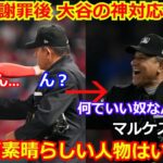 【感激】不正投球を疑った球審が謝罪直後、大谷翔平のある振る舞いに感激「彼ほどの人格者は見たことがない。【エンゼルス 野球 MLB 海外の反応】