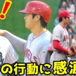 新ルールで困惑する選手と大谷翔平の行動の差に感涙！！これが審判さえもファンになってしまう彼の最大の魅力だわ【MLB】