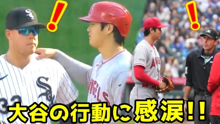 新ルールで困惑する選手と大谷翔平の行動の差に感涙！！これが審判さえもファンになってしまう彼の最大の魅力だわ【MLB】