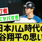 今でこそMLBで無双しているけど、日本ハム時代の大谷翔平ってどんなことしてたんや？【なんｊ反応】