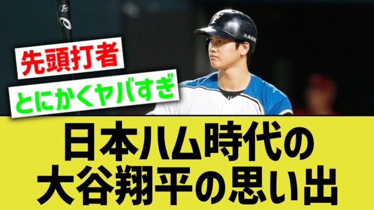 今でこそMLBで無双しているけど、日本ハム時代の大谷翔平ってどんなことしてたんや？【なんｊ反応】