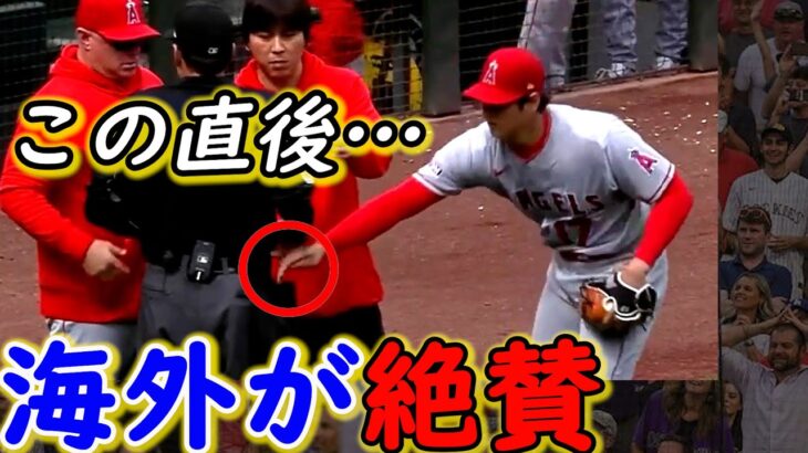 【大谷翔平】ピッチクロック違反直後の“ある行動”に称賛の嵐…「非の打ち所がない自慢の●●！？」MLB審判、米国、韓国からも愛される【海外の反応】