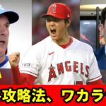 大谷の投球に米国が混乱「攻略法が分からない」MLBプロ達が次々と大谷を評価してついに彼の偉大さに気づき始めた！【shohei ohtani】