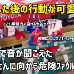 大谷選手に危険ファウルボールが… 持ち前の瞬発力で避けた後の行動が可愛すぎた Shohei Ohtani エンゼルス Angels  大谷翔平 現地映像