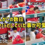 おまじない効果でホームラン？ 大谷さんとアーシェラがこの数日していた事がかわいい  Shohei Ohtani エンゼルス Angels  大谷翔平 現地映像