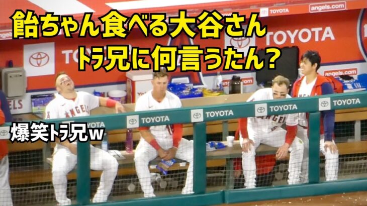 爆笑トラウト兄 飴ちゃん食べる大谷さん 何言った？ Shohei Ohtani エンゼルス Angels  大谷翔平 現地映像