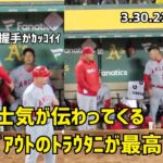 トラウタニ ２人の士気が伝わってくるダグアウトが最高 Shohei Ohtani Angels  大谷翔平 MikeTrout