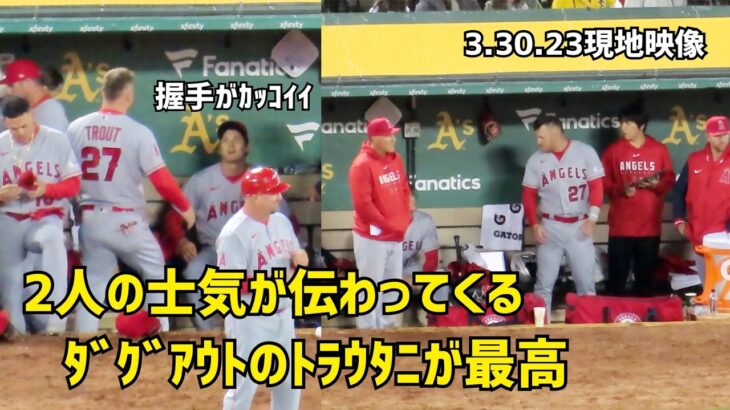 トラウタニ ２人の士気が伝わってくるダグアウトが最高 Shohei Ohtani Angels  大谷翔平 MikeTrout