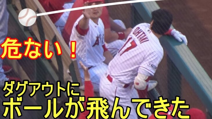 危ない！ダグアウトに飛んできたファウルボールを避ける【大谷翔平選手】～対ナショナルズ・シリーズ初戦～Shohei Ohtani vs Nationals 2023