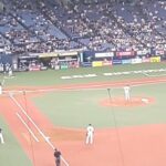 WBC日本代表優勝 トロフィー展示