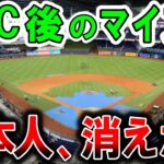 【海外の反応】紫綬褒章にWBC日本代表！なんと称賛を受けていたのは選手だけじゃなかった。米国人「こんなことありえない…」優勝直後の日本人サポーターたちの行動