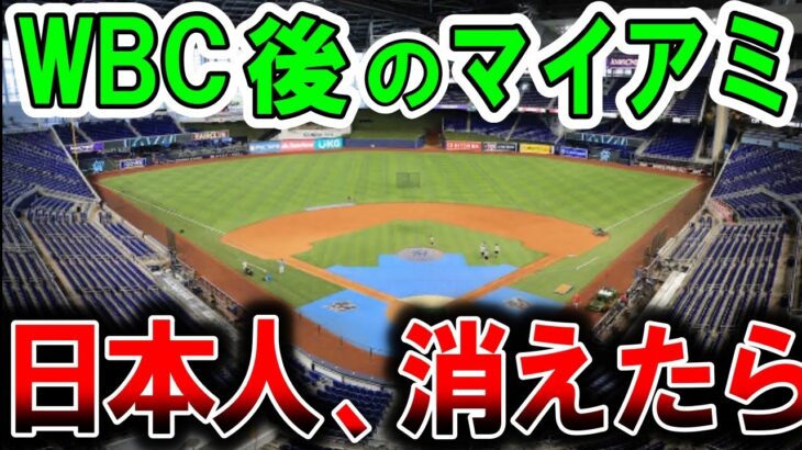 【海外の反応】紫綬褒章にWBC日本代表！なんと称賛を受けていたのは選手だけじゃなかった。米国人「こんなことありえない…」優勝直後の日本人サポーターたちの行動