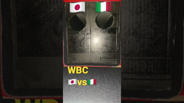 WBC日本対イタリア『裏側』