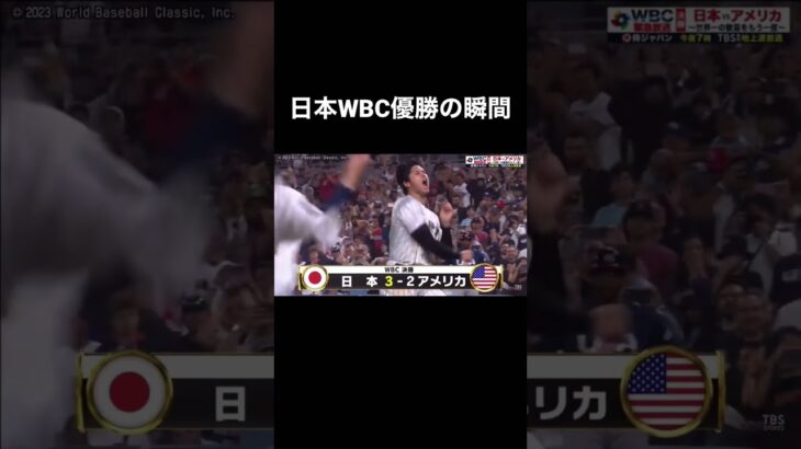 日本WBC優勝の瞬間