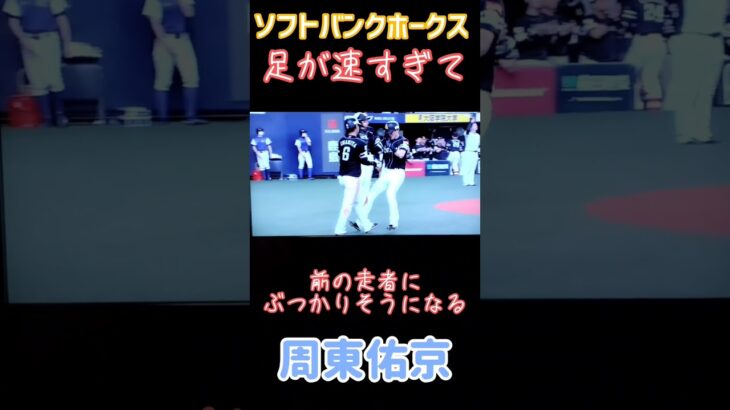 【WBC日本代表の周東佑京の速さがわかる動画】