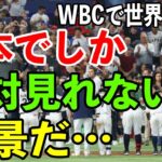 【海外の反応】「こんなの日本でしかありえない！」WBCで世界一に輝いた日本代表の試合後の振る舞いを海外メディアがこぞって報道！