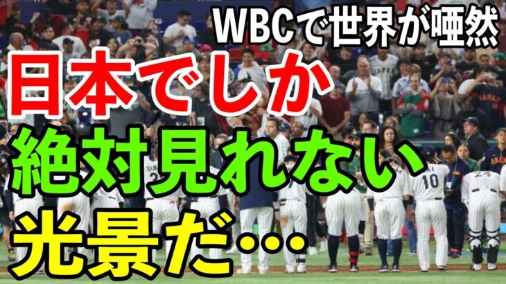 【海外の反応】「こんなの日本でしかありえない！」WBCで世界一に輝いた日本代表の試合後の振る舞いを海外メディアがこぞって報道！