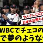 WBCチェコ代表が感動！日本で夢のような体験とは？野球用品の品揃えに興奮！ファンの反応は？