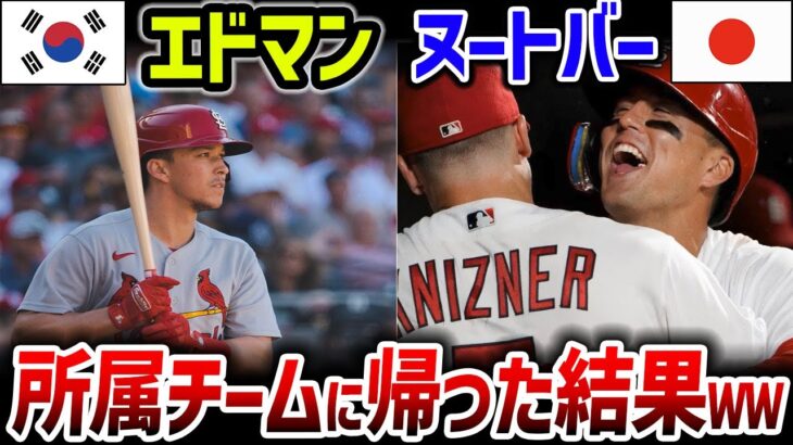 【海外の反応】「どうしてこうなった……」WBC韓国代表として出場したエドマンと、日本代表として優勝したヌートバーが、所属チームに帰った結果…