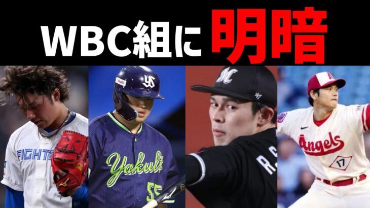 【嘘だろ…】世界一のWBC代表組の現在、あまりにも明暗が別れすぎている件…