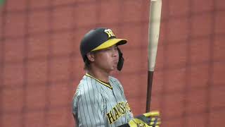 【阪神梅野対日本代表！】WBC強化試合　サムライJAPAN対阪神タイガース　京セラドーム大阪　　２０２３年３月６日