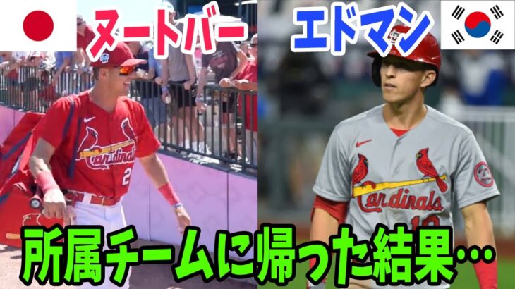 【海外の反応】「一体どこで間違えた…」WBCで日本代表として優勝したヌートバーと、韓国代表として出場したエドマンが所属チームに帰った結果…【アメージングJAPAN】