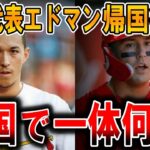 【海外の反応】WBC韓国代表エドマンが所属チームに戻って…一体どこで間違えた!?WBCで日本代表として優勝したヌートバーと、韓国代表として出場したエドマンが所属チームに帰った結果…【ゆっくり解説】