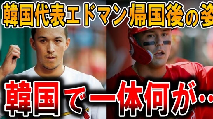 【海外の反応】WBC韓国代表エドマンが所属チームに戻って…一体どこで間違えた!?WBCで日本代表として優勝したヌートバーと、韓国代表として出場したエドマンが所属チームに帰った結果…【ゆっくり解説】