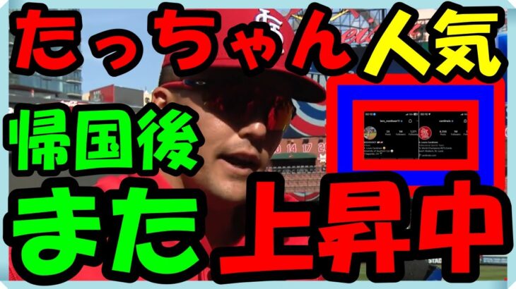 海外の反応 WBC・侍ジャパン!米メディアも注目！日本で人気爆発のラーズ・ヌートバーが米国に帰国後も大人気な事を示す「驚愕の数値」に海外がビックリ仰天した意外な訳とは？海外の反応ch ステキな日本