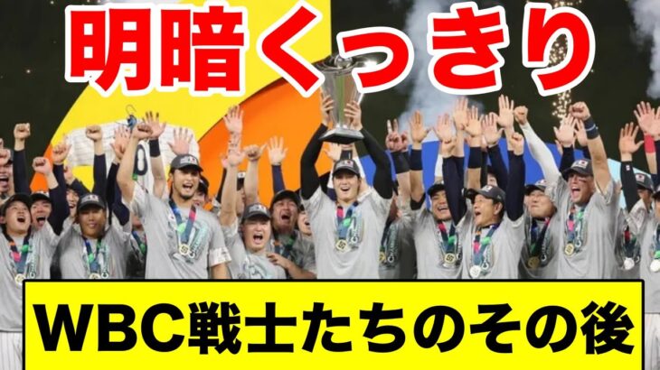 WBC日本代表のその後・・・【なんj・2ch】プロ野球