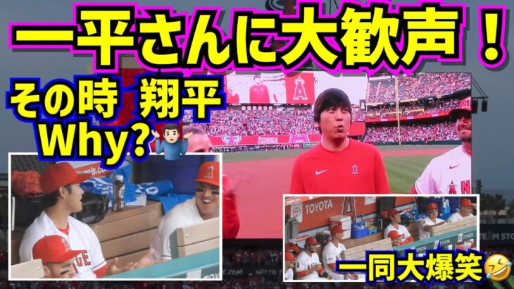 開幕セレモニーで一平さんに大歓声‼️その時大谷がWhy?ダグアウト大爆笑🤣【現地映像】4/7vsブルージェイズ ShoheiOhtani Angels