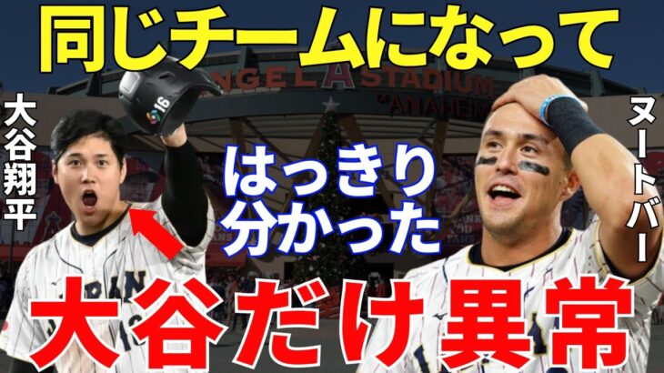 ヌートバー「翔平と初めて同じチームで戦ってビックリしたよ…」侍ジャパンの切り込み隊長として大活躍したヌートバー！そのヌートバーが感じた大谷翔平の凄さに世界は絶賛するしかなかった！【海外の反応】